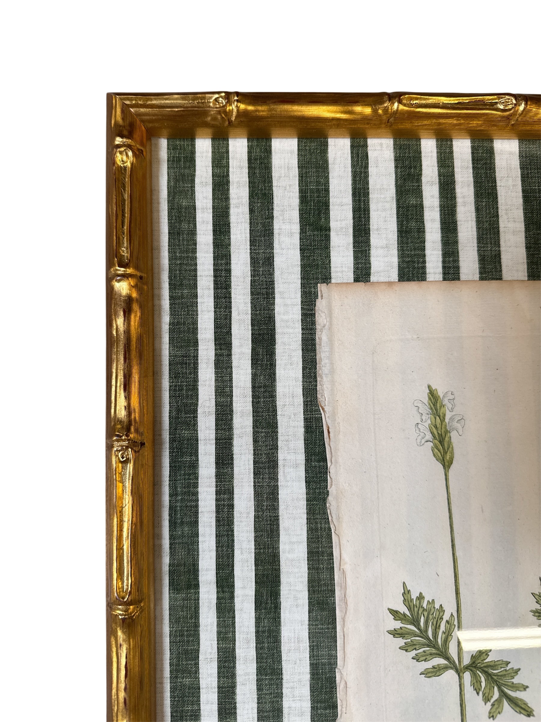 Pair of Green Striped Botanicals