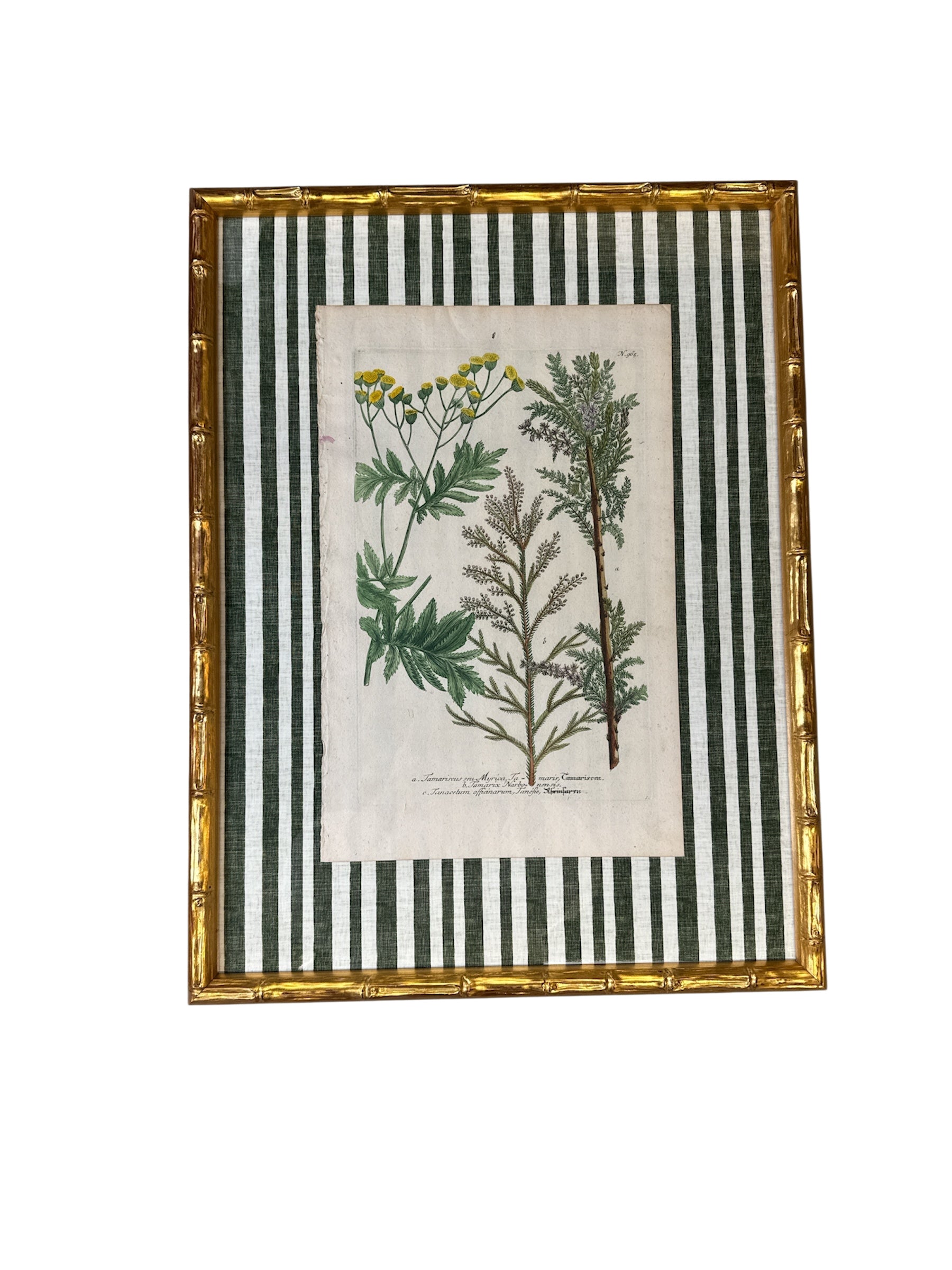 Pair of Green Striped Botanicals