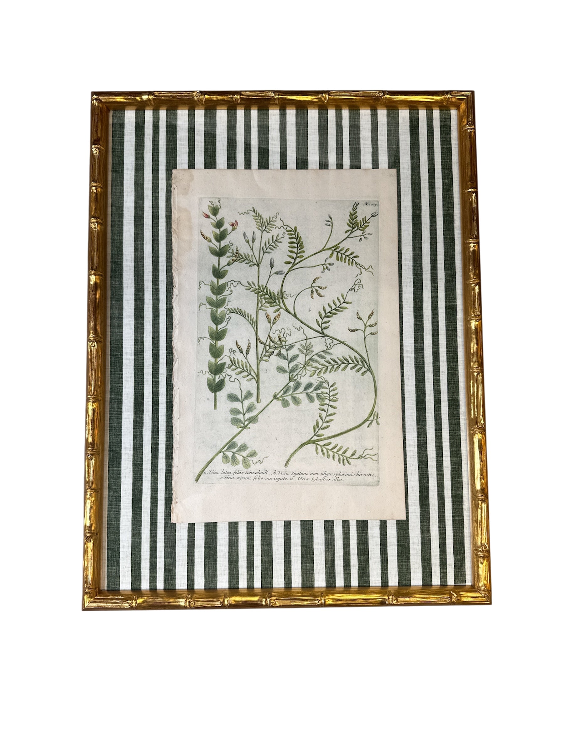 Pair of Green Striped Botanicals
