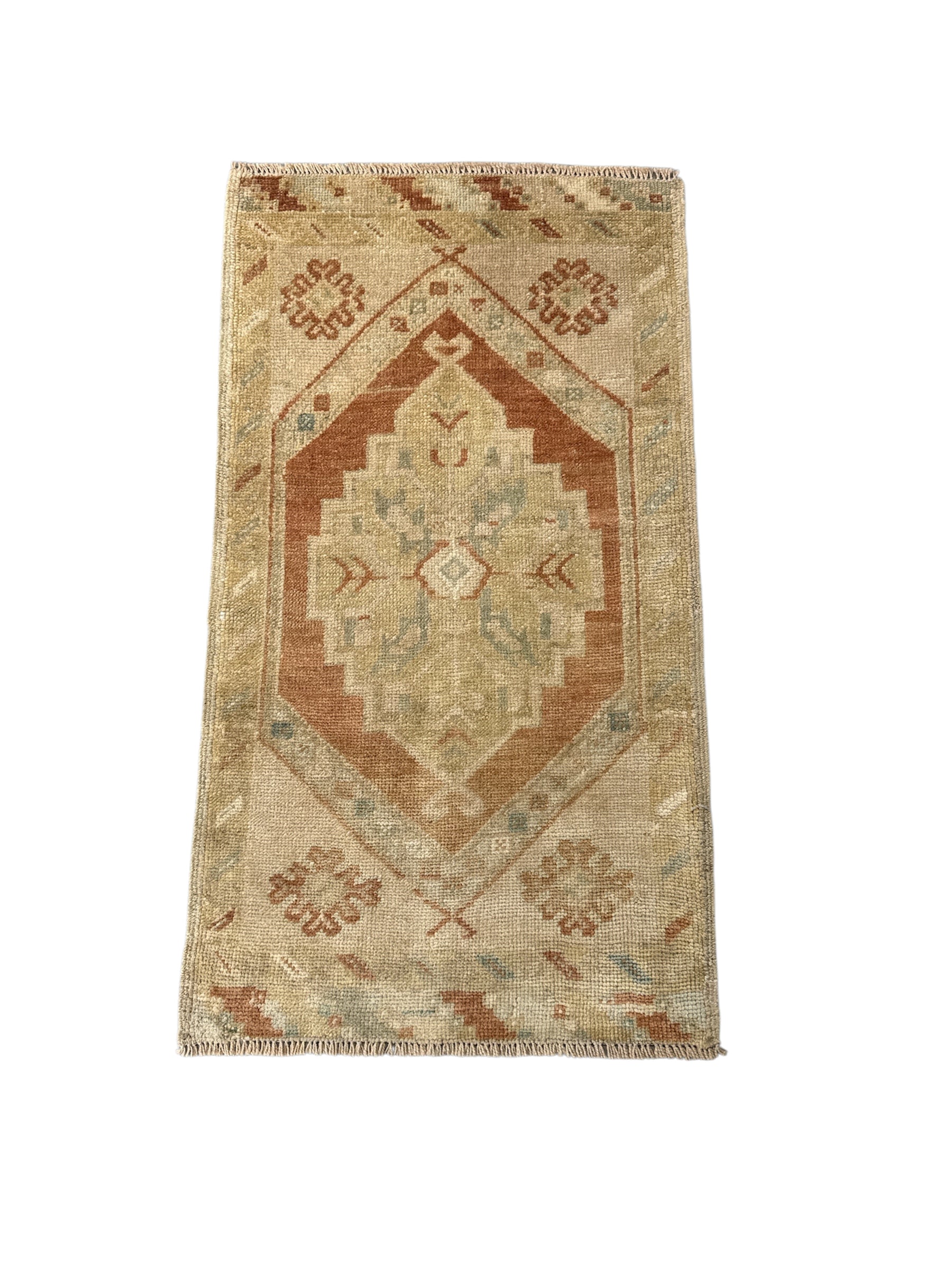 Terracotta and Sage Small Turkish Oushak Rug