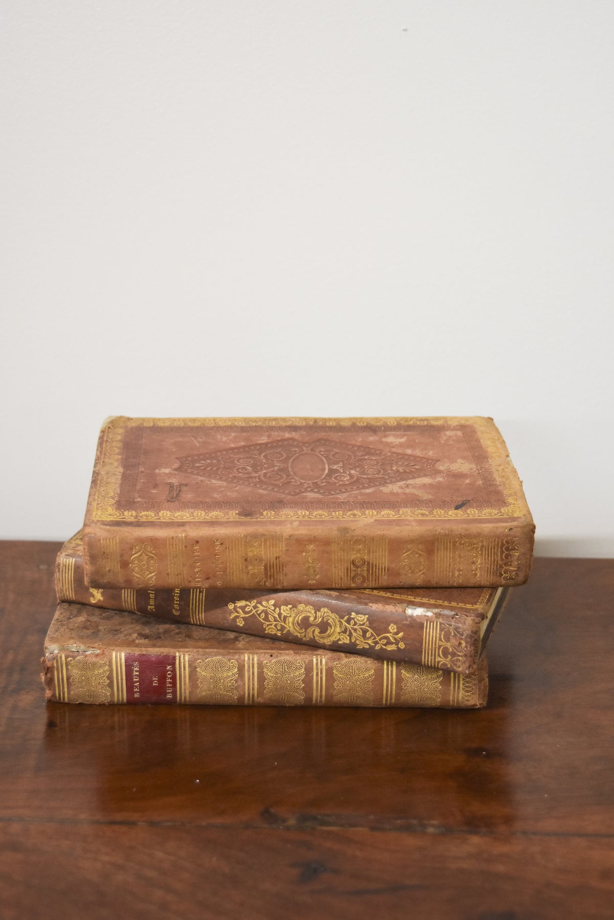 Set of 3 Mixed Light Brown Antique Leatherback Books