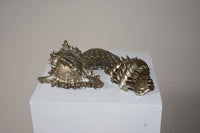 Set of Silver Shells