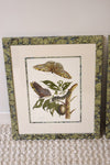 Pair of Custom Marbleized Framed Merian Butterflie Prints No.1