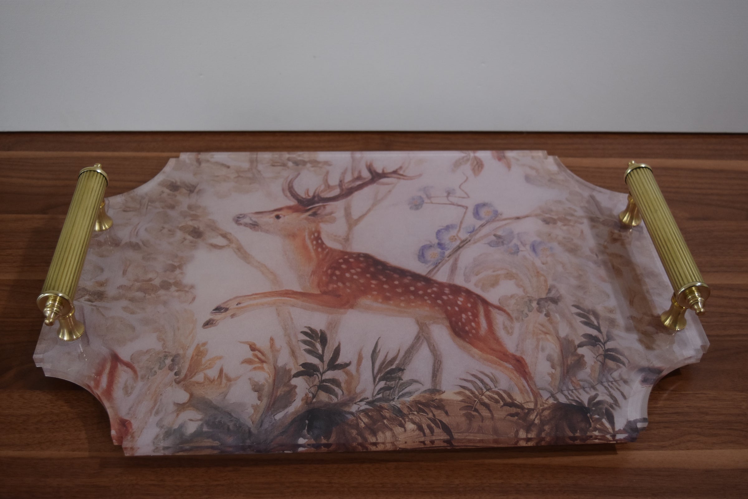 Large Stag Acrylic Tray with Brass Handles