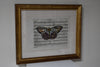 Hand Colored Butterfly No. 4