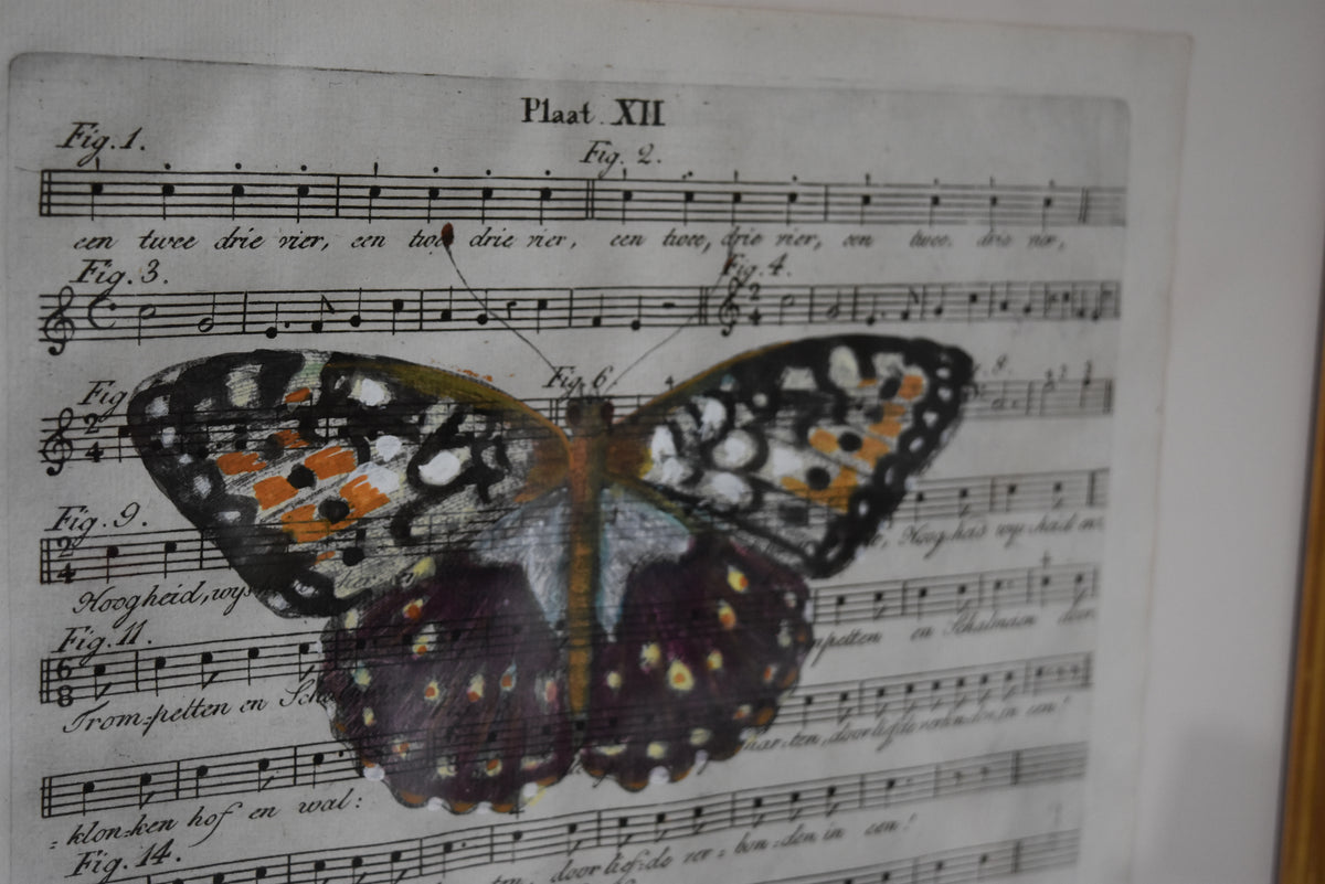 Hand Colored Butterfly No. 4