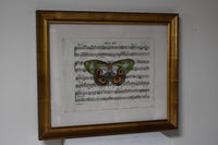 Hand Colored Butterfly No. 1