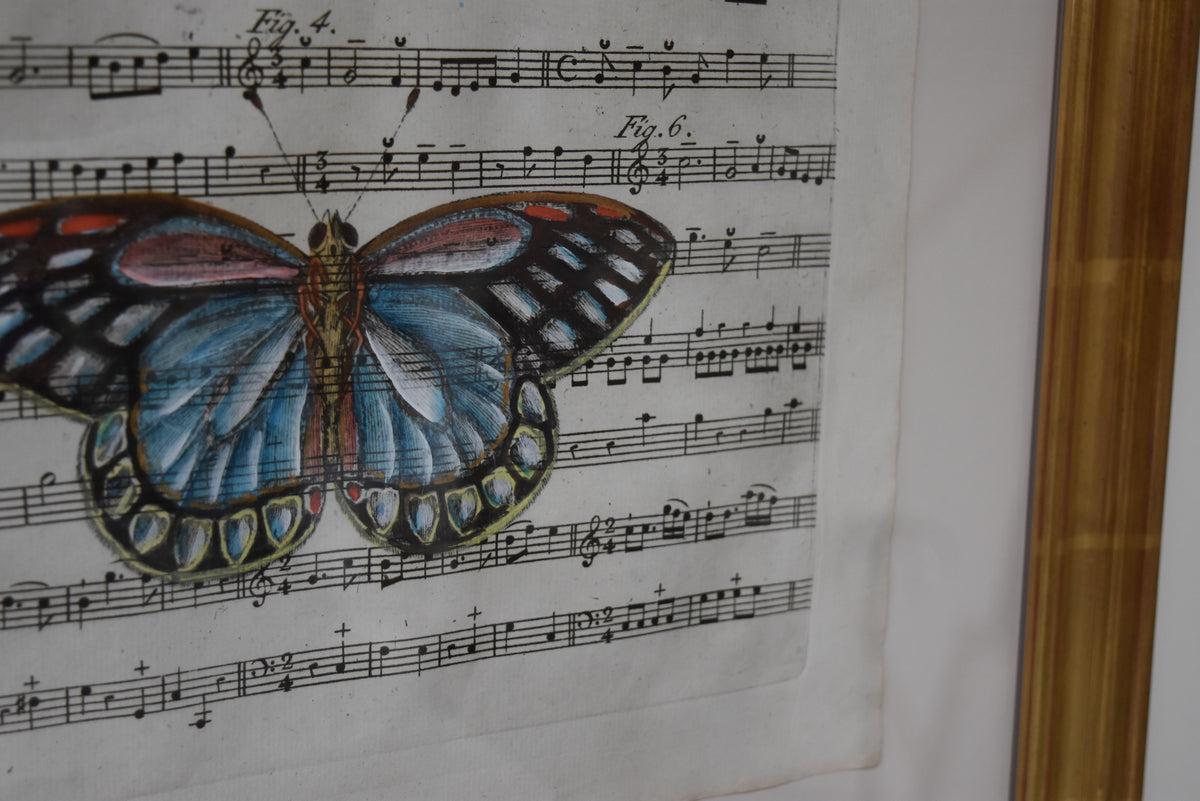 Hand Colored Butterfly No. 3