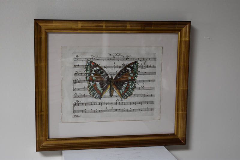 Hand Colored Butterfly No. 2