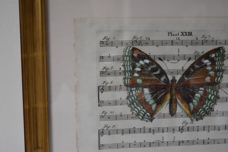 Hand Colored Butterfly No. 2