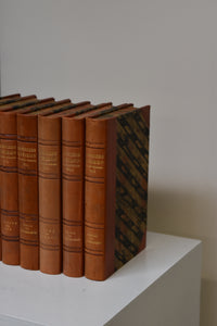 Set of 7 Bonniers Lexikon Antique Books