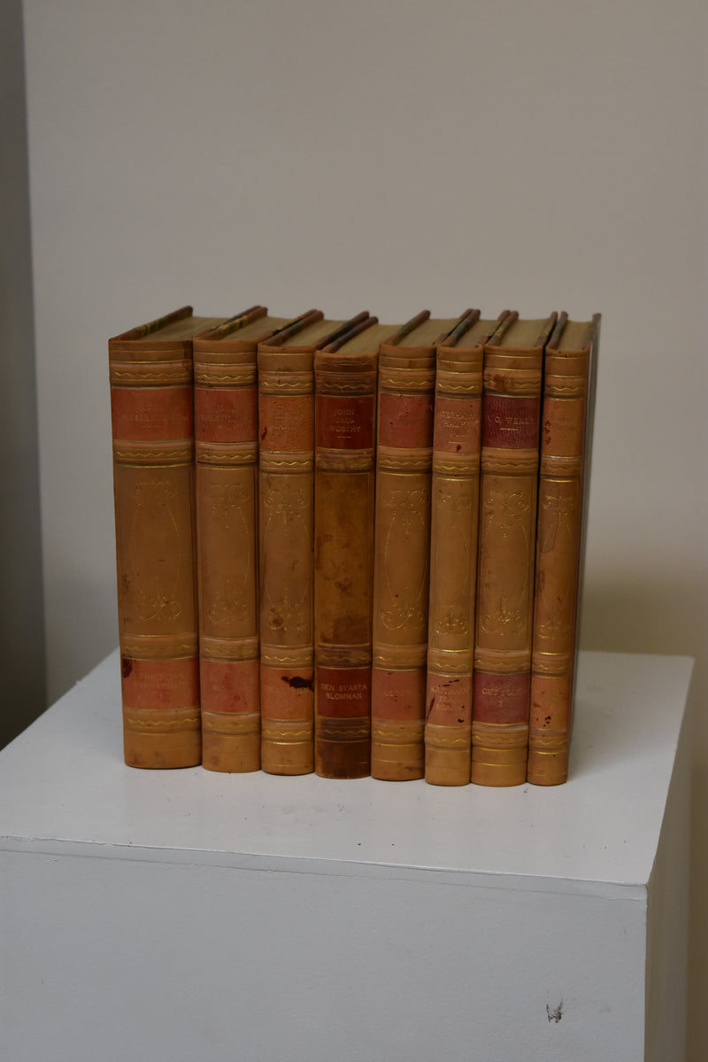 Set of 8 Antique Books