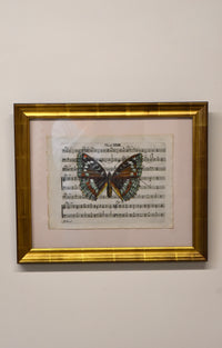 Hand Colored Butterfly No. 2