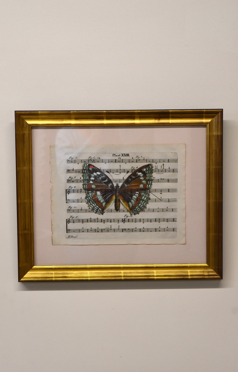 Hand Colored Butterfly No. 2