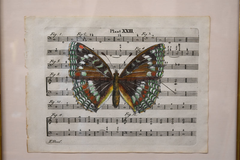 Hand Colored Butterfly No. 2