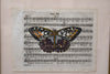 Hand Colored Butterfly No. 4