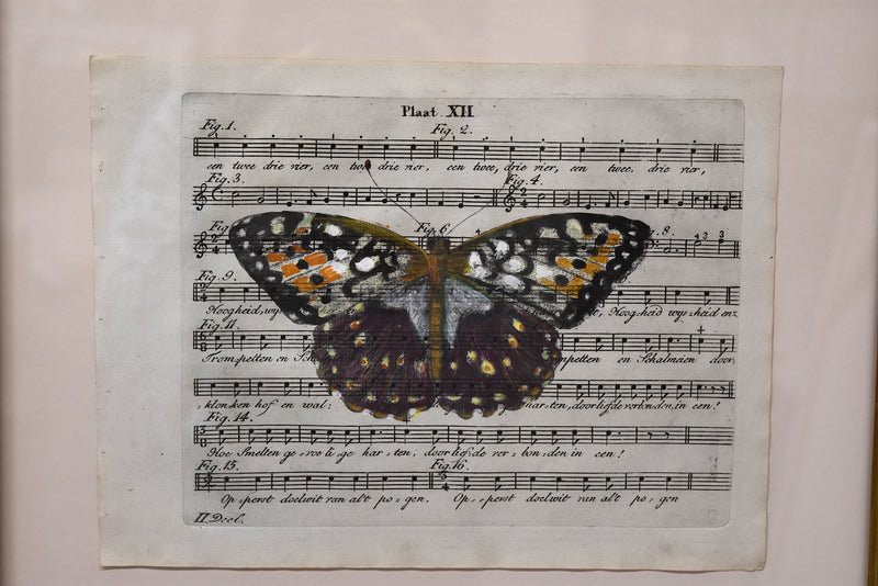 Hand Colored Butterfly No. 4