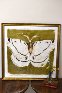 Large Moth Painting By Amanda Norman