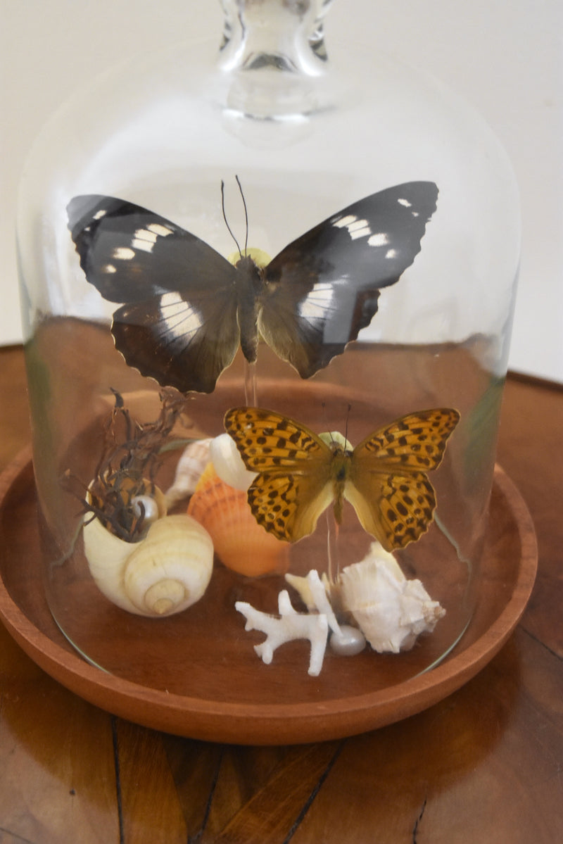 Small Butterfly Cloche by Jillian Morse