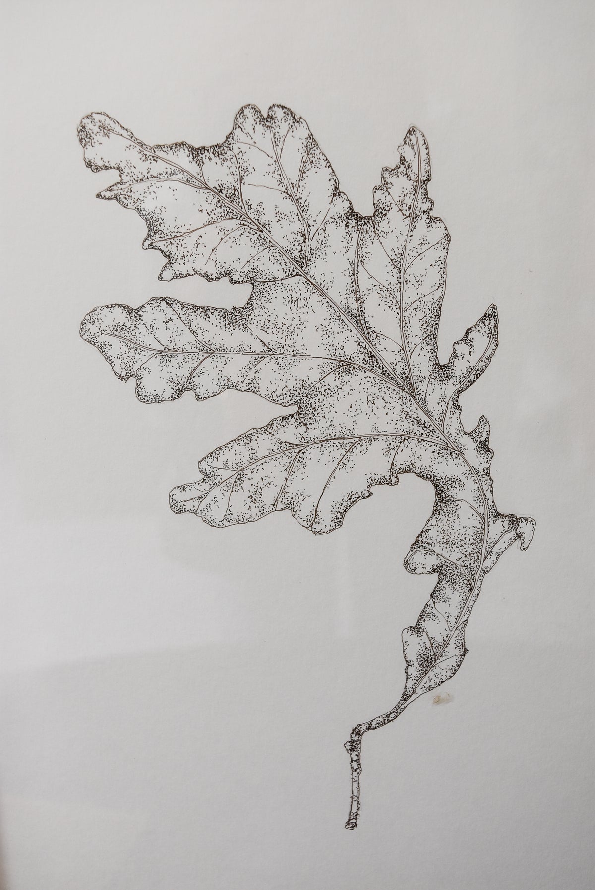 Original Monochromatic Leaf Sketch No. 4 by Melody Trivisone