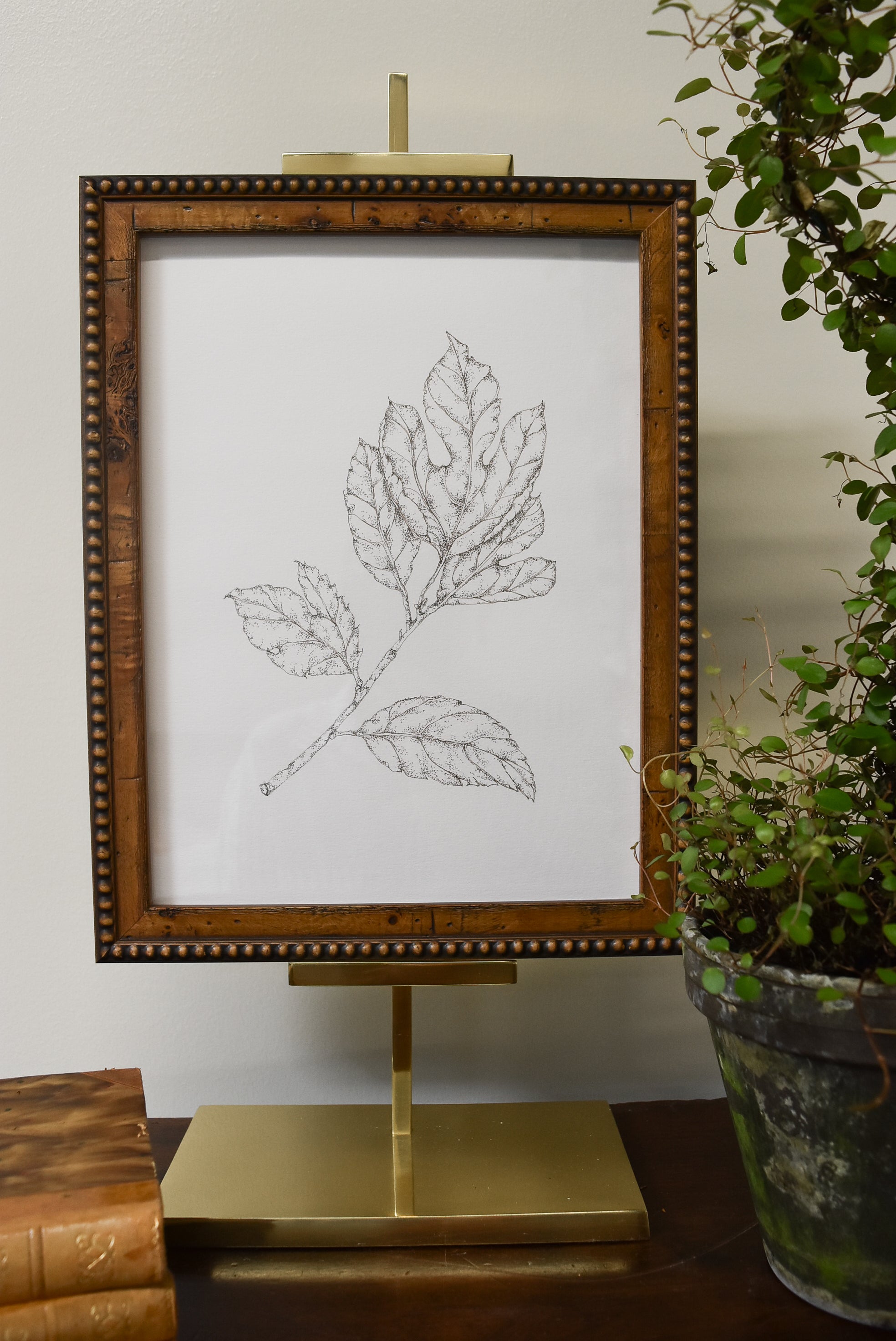 Original Monochromatic Leaf Sketch No. 2 by Melody Trivisone