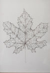 Monochromatic Leaf Sketch No. 3 by Melody Trivisone