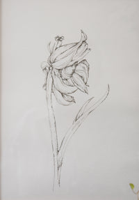 Monochromatic Flower Print No. 1 by Melody Trivisone