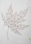 Monochromatic Leaf Sketch No.1 by Melody Trivisone