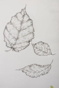 Monochromatic Leaf Sketch No. 8 by Melody Trivisone