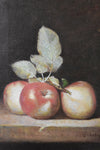 Apple Still Life Oil Painting