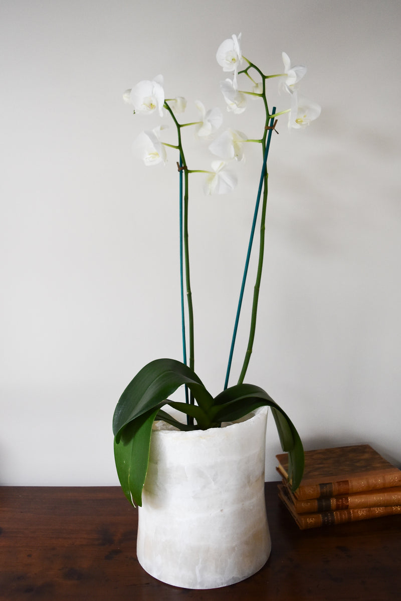large marble plant pot indoor Large Marble Orchid Planter – DebbieMathews