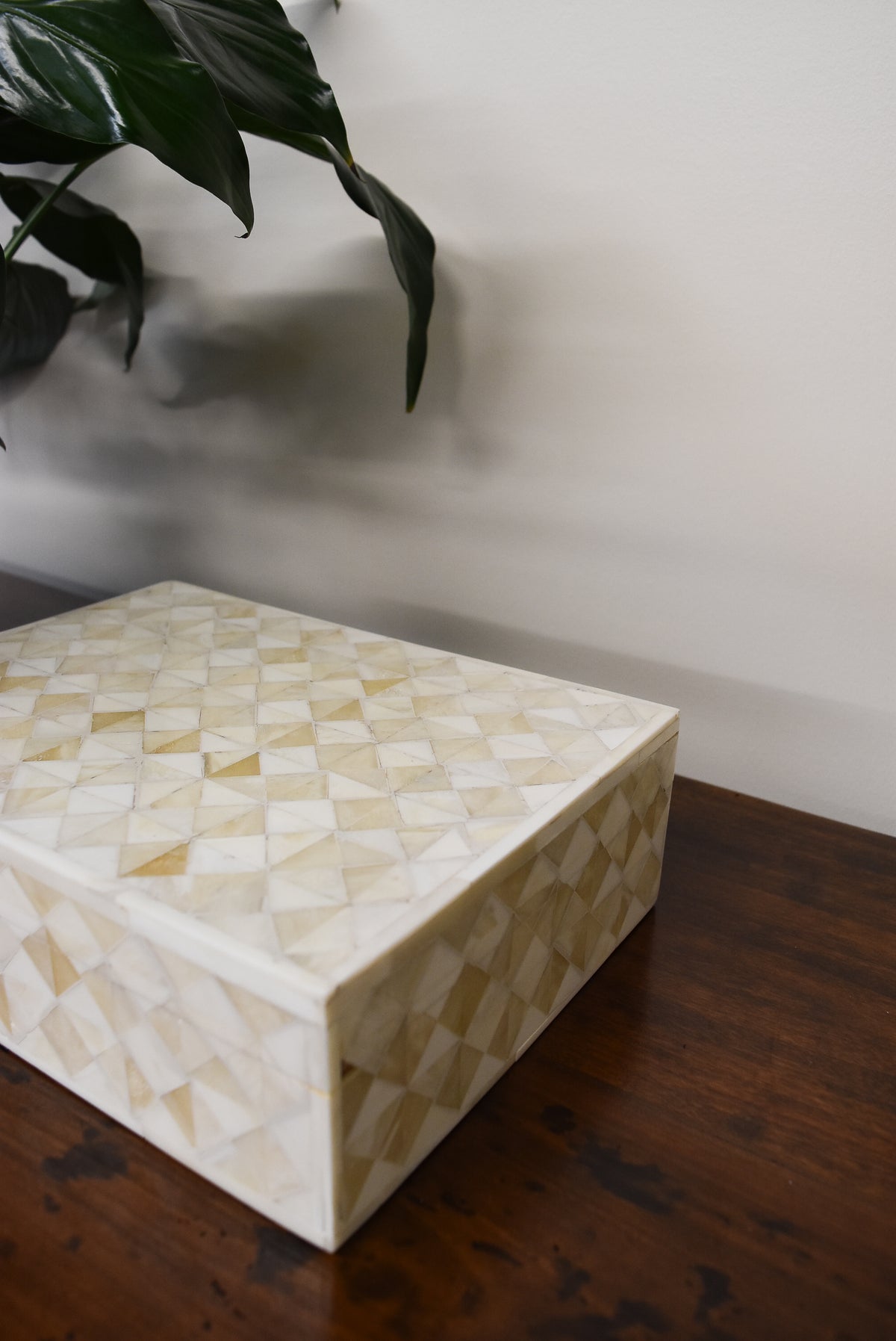 Checkered Bone Box