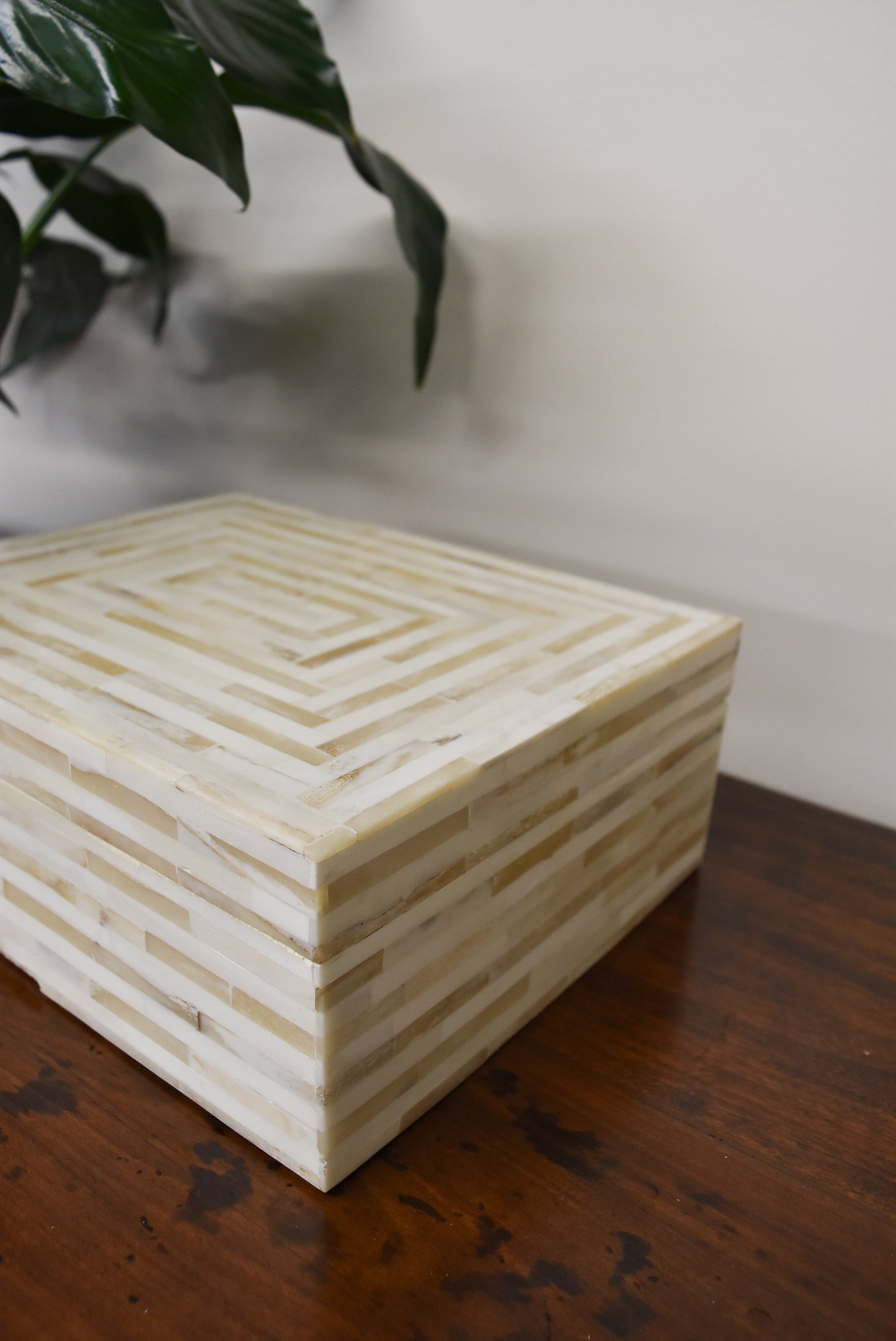 Lined Bone Box with Hinges