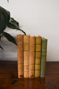 Assorted Antique Leather Books - Set of 5