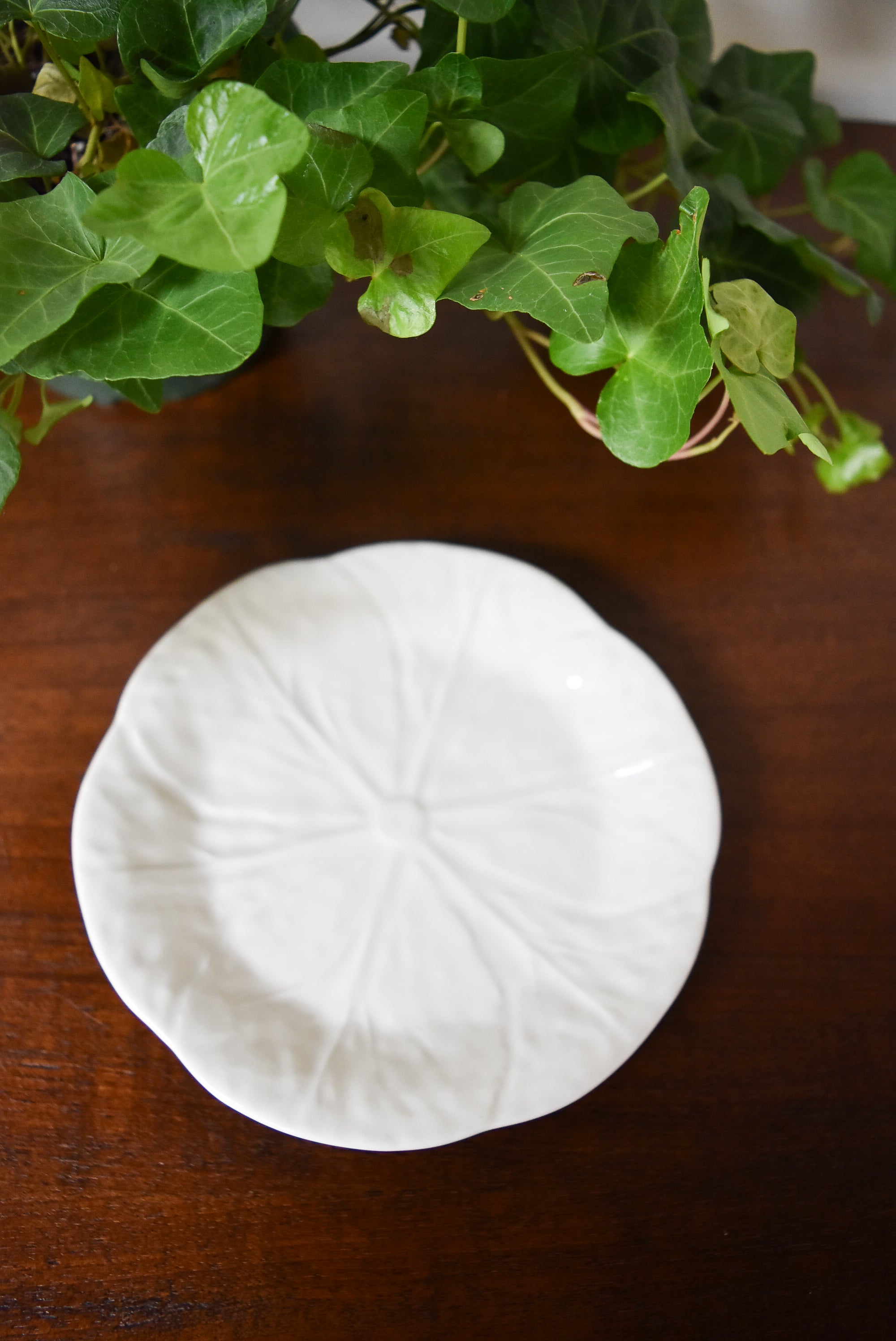 White Cabbage Ware Dessert Plate