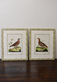 Pair of Custom Framed Martinet Birds with Morris Print No. 1