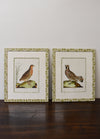 Pair of Custom Framed Martinet Birds with Morris Print No. 2