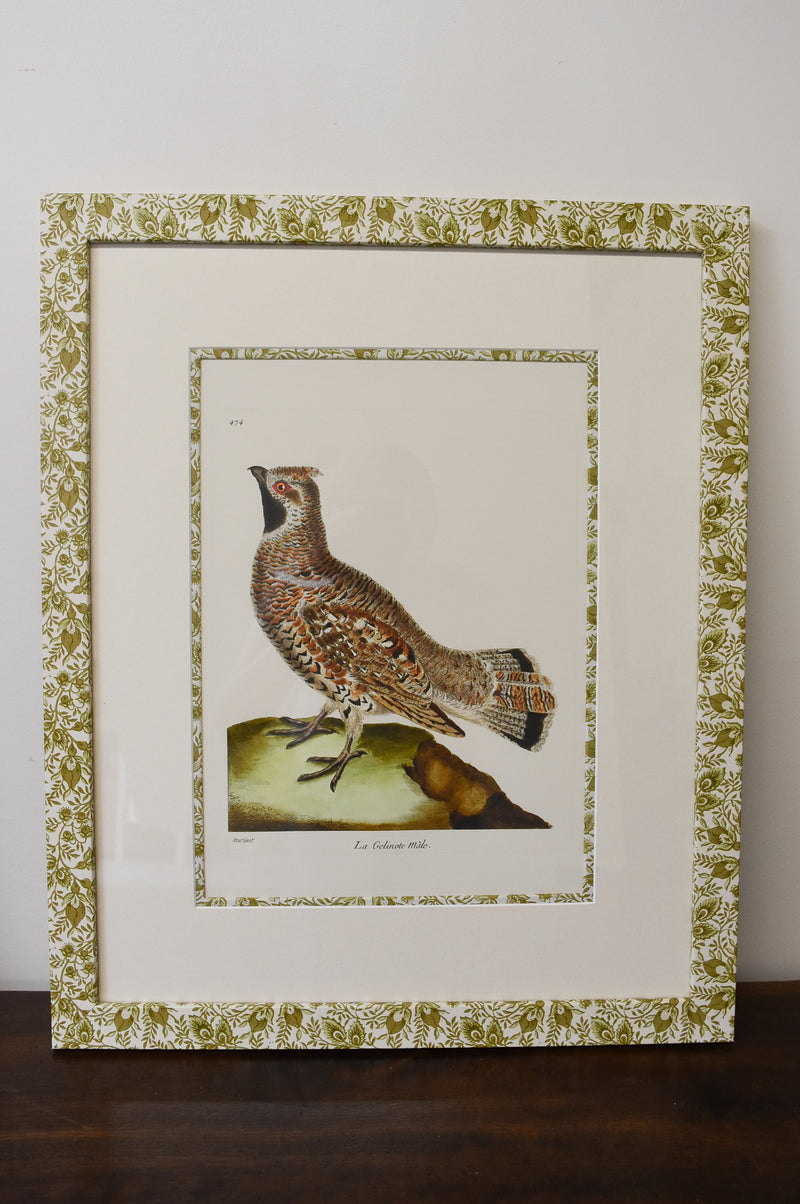 Pair of Custom Framed Martinet Birds with Morris Print No. 2