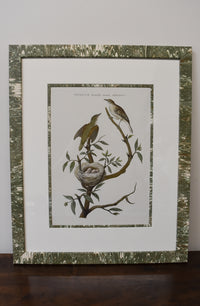 Pair of Custom Framed Noseman Bird Prints No.2