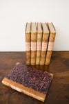 Set of 6 Antique Atternom Pink Books