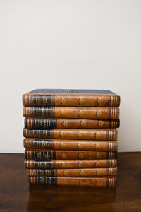 Set of 9 Blue Stripe Antique Leather Books