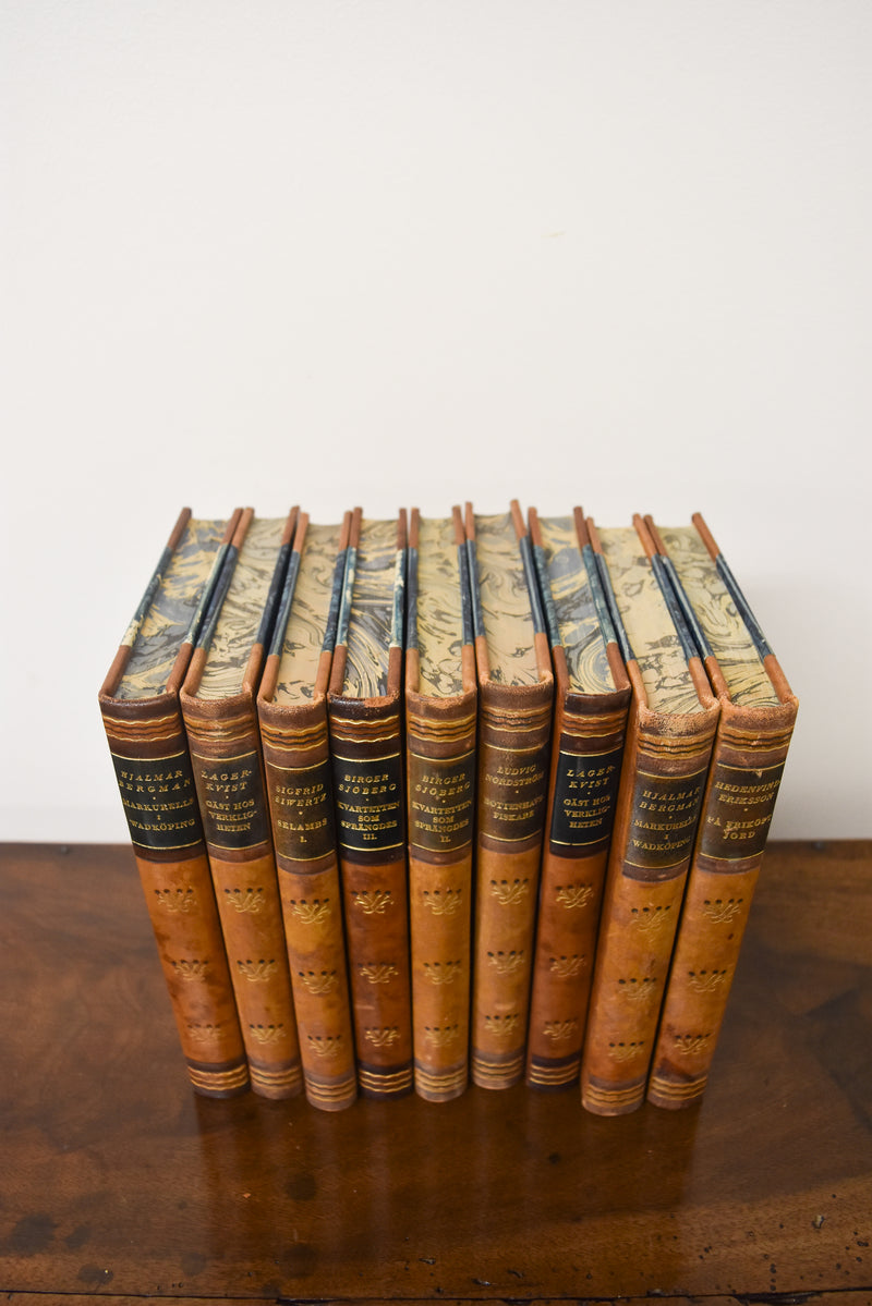 Set of 9 Blue Stripe Antique Leather Books