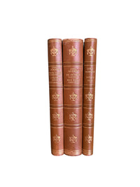 Set of 3 Antique Books