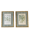 Pair of Green Striped Botanicals
