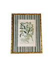 Pair of Green Striped Botanicals