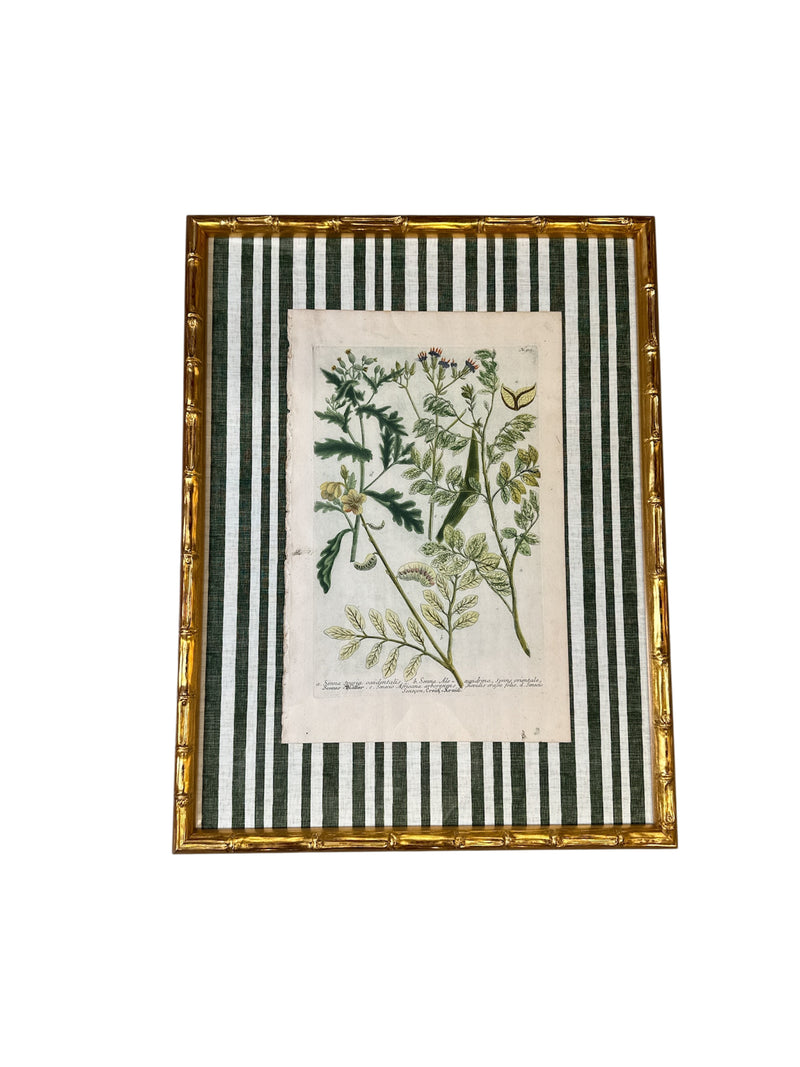 Pair of Green Striped Botanicals