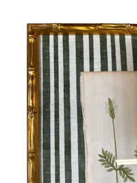 Pair of Green Striped Botanicals