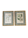 Pair of Green Striped Botanicals