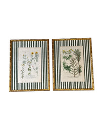 Pair of Green Striped Botanicals