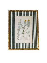 Pair of Green Striped Botanicals